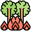 burn, catastrophic, disaster, forest, wildfire 