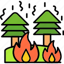 fire, burning, conflagration, disaster, forest, tree