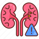 organ, failure, kidney, disease, renal, damage, nephropathy