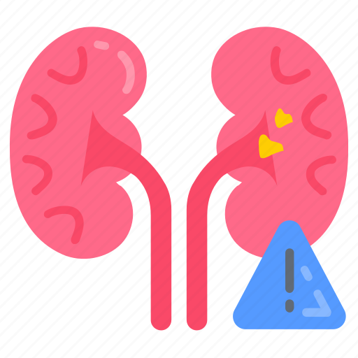 Organ, failure, kidney, disease, renal, damage, nephropathy icon - Download on Iconfinder