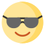 cool, proud, sunglasses, feelings, emotion, face, expression 