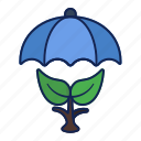 growing, nature, leaf, plant, tree, umbrella
