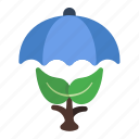 growing, nature, leaf, plant, tree, umbrella
