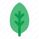 leaf, green, energy, electric, power