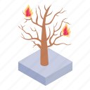 burning tree, fire tree, wildfire, fire disaster, forest fire 