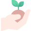 sprout, gardening, trees, seed, farming 
