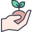 sprout, gardening, trees, seed, farming 