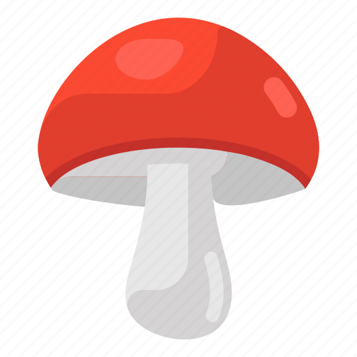 Mushroom, oyster mushroom, fungi, fungus, toadstool icon - Download on Iconfinder