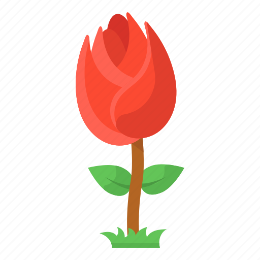 Rose, flower, garden flower, natural flower, rose plant icon - Download on Iconfinder