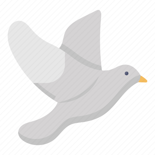 Dove, fowl, creature, easter dove, peace dove icon - Download on Iconfinder