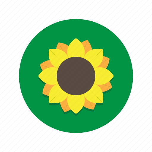 Flower, flowers, plant, sunflower, sunflowers icon - Download on Iconfinder