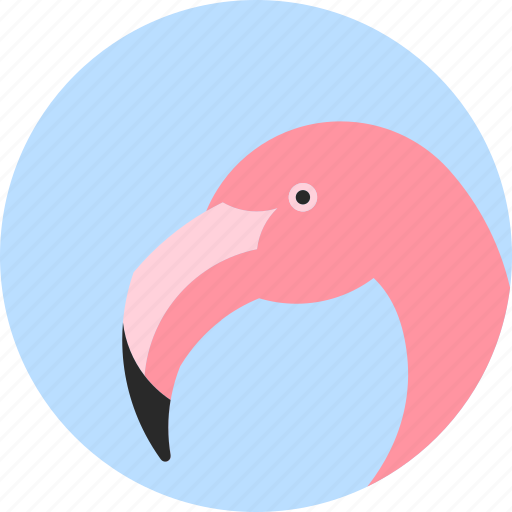 Animal, beak, bird, exotic, flamingo, tropical, wild icon - Download on Iconfinder