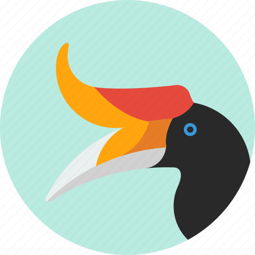 Animal, beak, bird, exotic, hornbill, tropical, wild icon - Download on Iconfinder