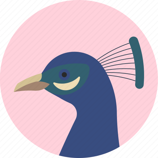 Animal, beak, bird, exotic, peacock, tropical, wild icon - Download on Iconfinder