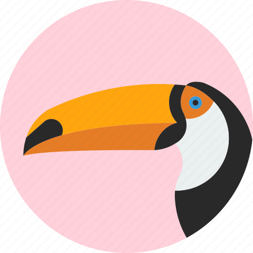 Animal, beak, bird, exotic, toucan, tropical, wild icon - Download on Iconfinder