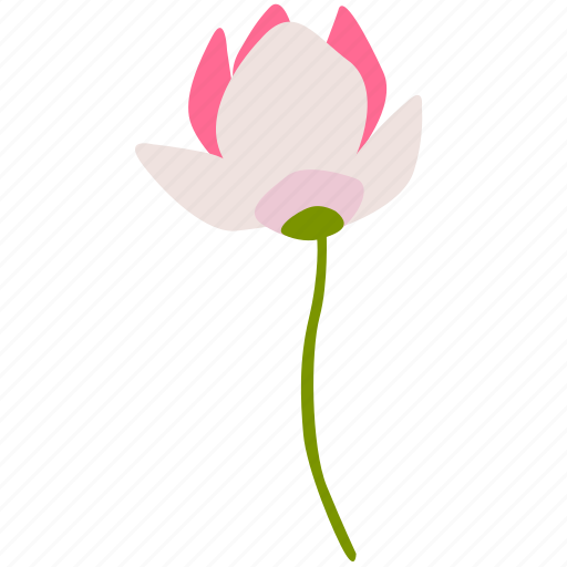 Flower, herb, pink, plant, water lily icon - Download on Iconfinder