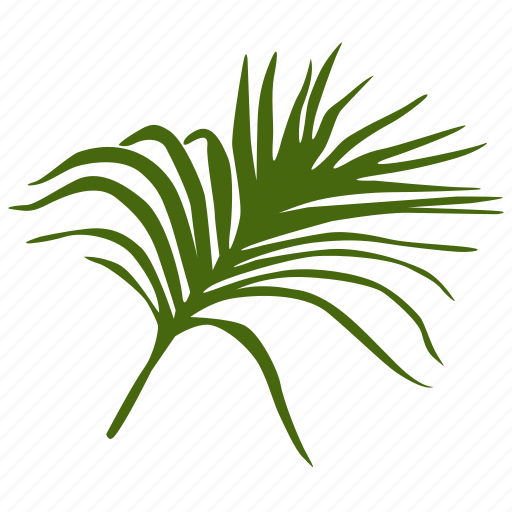 Green, leafes, leave, palm, tree, tropical icon - Download on Iconfinder