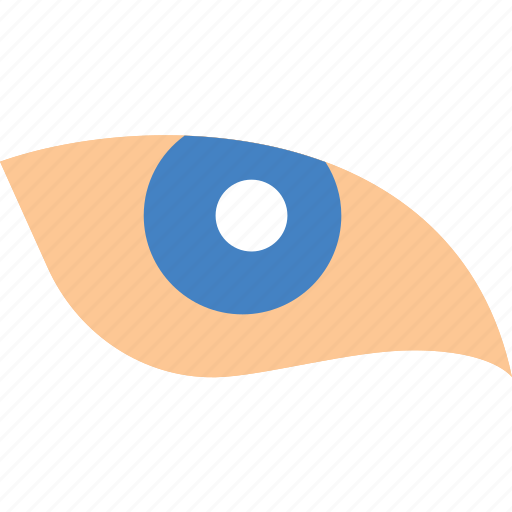 Animal, eye, face, vision icon - Download on Iconfinder