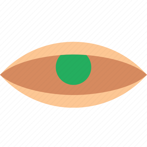 Eye, face, human, vision icon - Download on Iconfinder