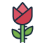 rose, flower, nature, blossom, plant, floral, garden, magic 