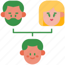 family, family tree, parents tree, relationship, relatives, hierarchy, genealogy