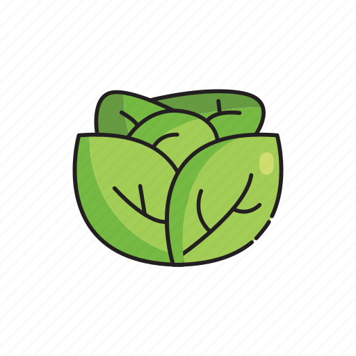 Food, healthy, leaves, lettuce, spinach, vegetables icon - Download on Iconfinder
