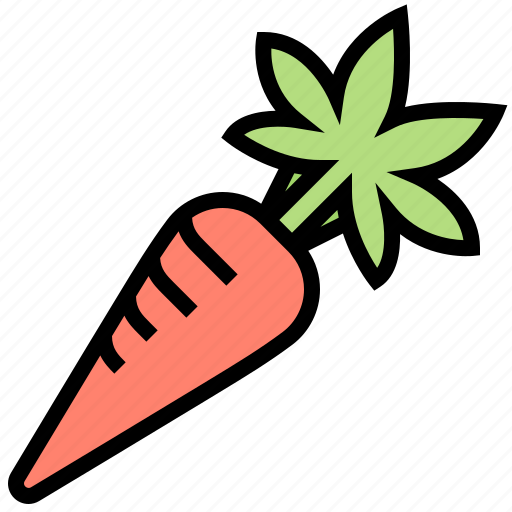 Carrot, food, root, vegetable, vitamin icon - Download on Iconfinder