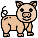 hog, livestock, pig, pork, swine