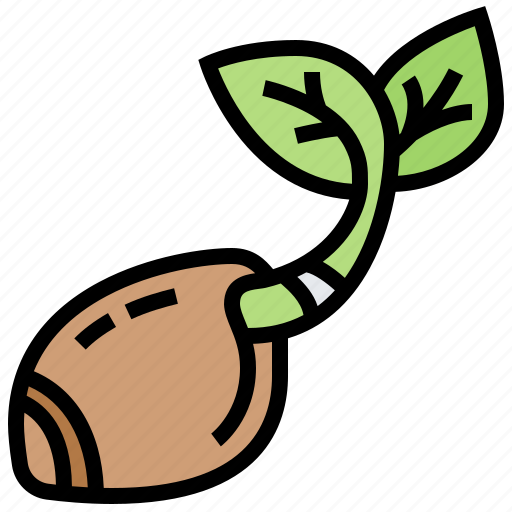Germination, growth, plant, seedling, seeds icon - Download on Iconfinder