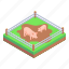 livestock, pigs farming, hog farming, domestic pigs, animal husbandry 