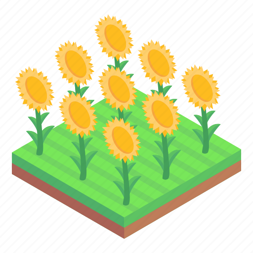 Sunflowers field, sunflowers garden, floral garden, botanical garden, flowers icon - Download on Iconfinder