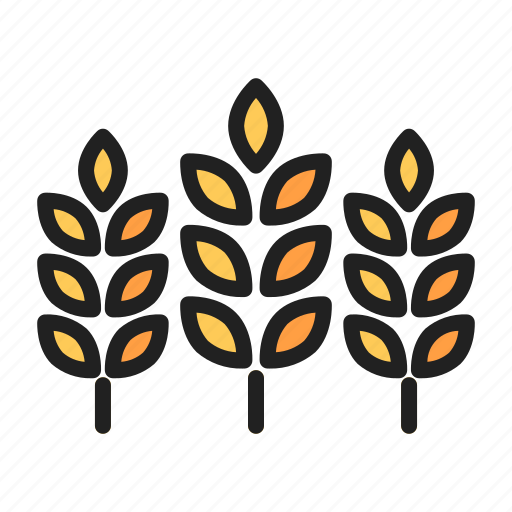 Wheat, grain, rice, plant, farm icon - Download on Iconfinder