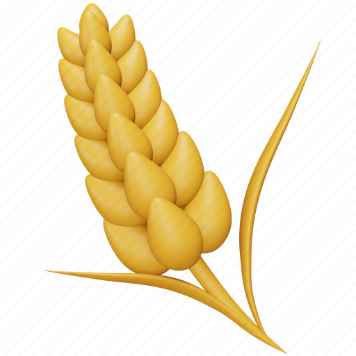 Wheat, farm, agriculture, cereal, grain, harvest, crop 3D illustration - Download on Iconfinder
