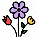 flower, gargen, pot, blossom, plant, nature