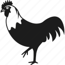 animal, chicken, rooster, farm