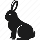 animal, hare, rabbit, farm 