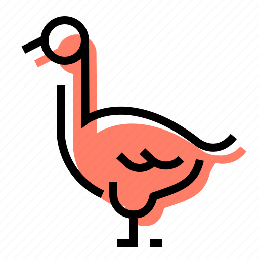 Goose, bird, farm, gander icon - Download on Iconfinder