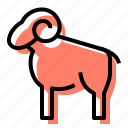 sheep, ram, farm, animal