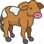 calf, live, stock, farm, animal 