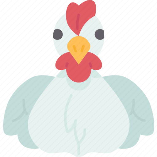 Broiler, chicken, poultry, farm, meat icon - Download on Iconfinder