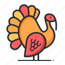 turkey, bird, farm, animal