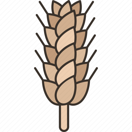 Barley, wheat, grain, farm, ingredient icon - Download on Iconfinder