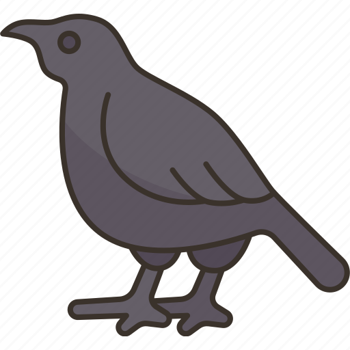Crow, raven, bird, wing, animal icon - Download on Iconfinder
