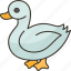 duck, poultry, farm, waterfowl, animal 