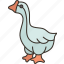goose, animal, domestic, farming, agriculture 