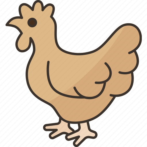 Hen, chicken, poultry, livestock, animal icon - Download on Iconfinder
