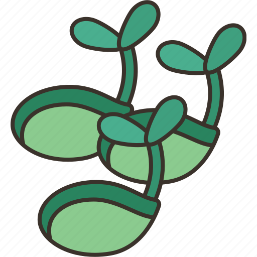 Seeds, germination, plant, grow, agriculture icon - Download on Iconfinder