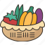 vegetable, basket, food, harvest, organic 