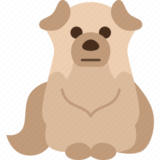 Dog, sheepdog, shepherd, pet, canine icon - Download on Iconfinder