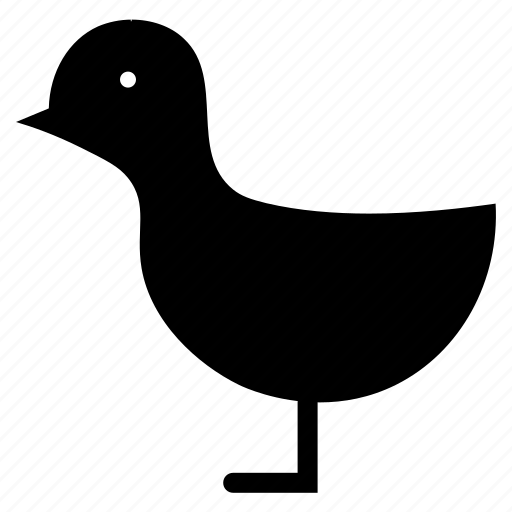 Bird, dove, fry, meat, piegion icon - Download on Iconfinder